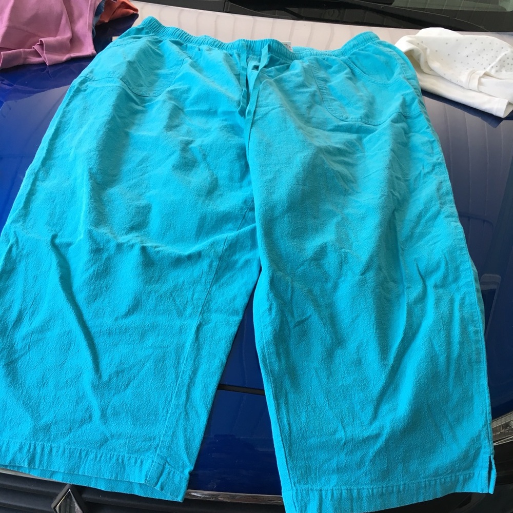 Kim Rogers Blue Capri Pants Size 2x